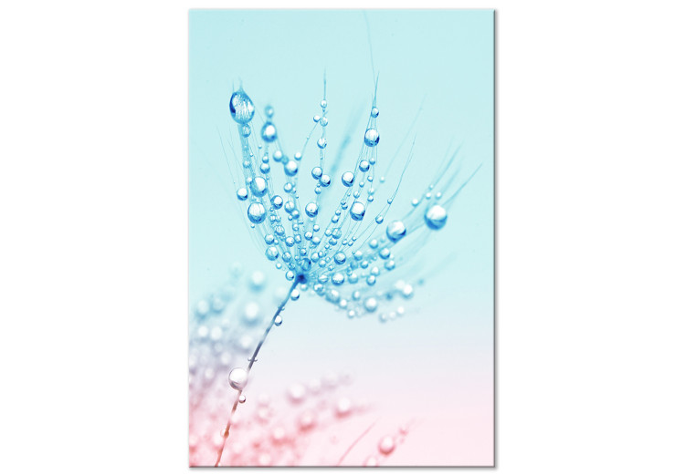 Obraz Dmuchawiec - roślina w kolorach błękitnych z kroplami rosy 149807