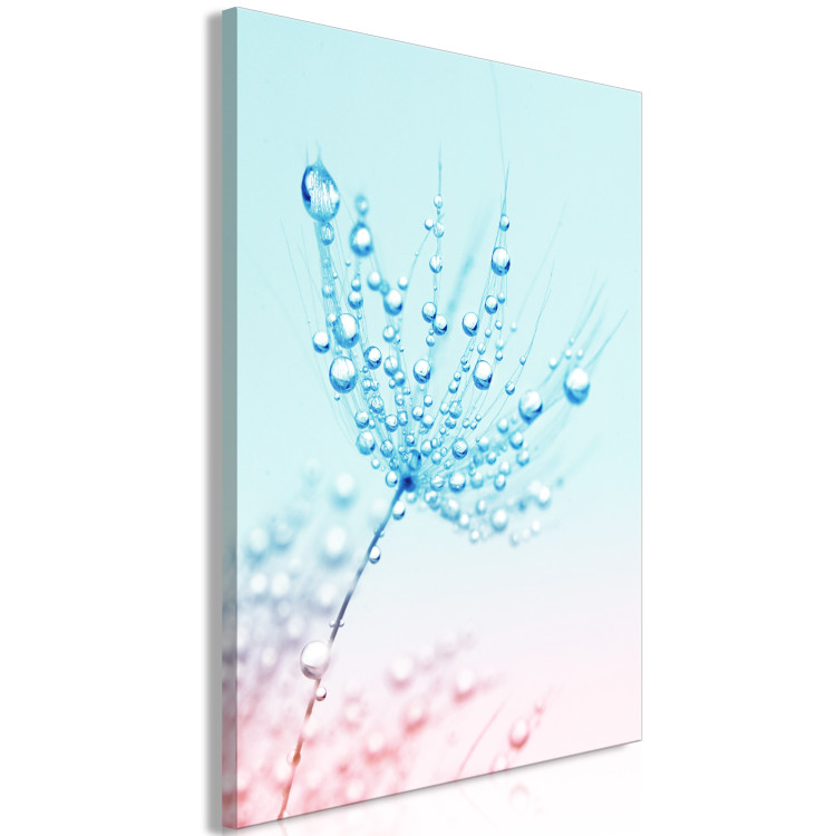 Obraz Dmuchawiec - roślina w kolorach błękitnych z kroplami rosy 149807 additionalImage 2