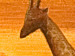 Tableau décoratif Crépuscule sur la savane  49307 additionalThumb 2