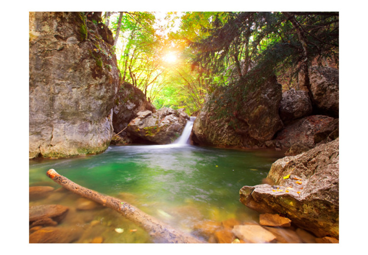 Fotomural Córrego de montanha - paisagem de um lago com uma cachoeira entre as rochas em uma floresta 60007 additionalImage 1