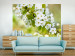 Wall Mural Beautiful delicate cherry blossoms 60707
