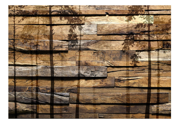 Fototapeta Wysokie leśne drzewa - deseń w brązowe deski z padającym cieniem lasu 63907 additionalImage 1