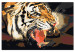  Dibujo para pintar con números Un tigre rugiendo 107317 additionalThumb 6