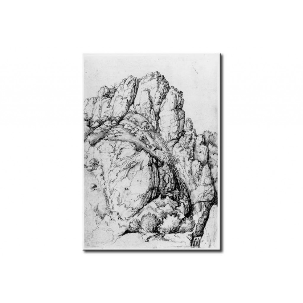 Schilderij  Albrecht Dürer: Bergwand Mit Schlucht