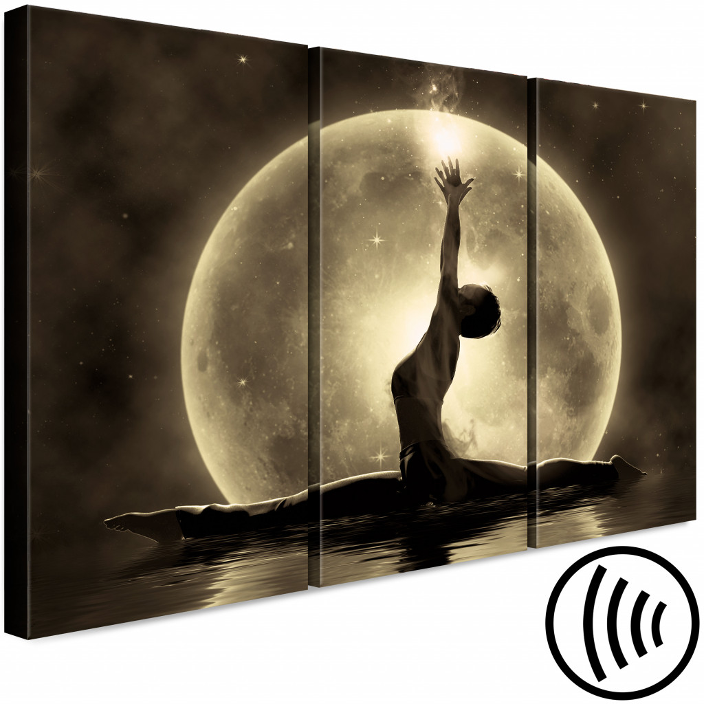 Schilderij  Silhouetten: Maandans - Een Mystiek Thema Met Een Ballerina