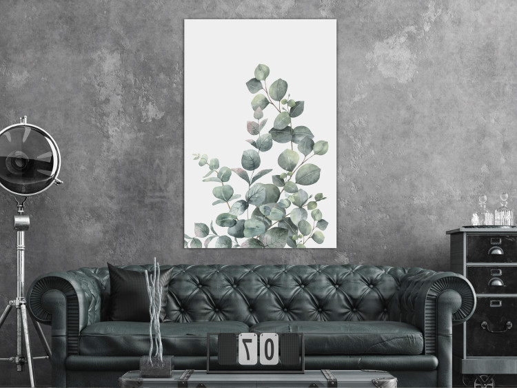 Canvas Print Eucalyptus leaves - landscape on a white background 137217 additionalImage 3