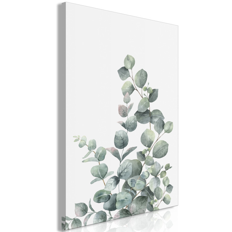 Canvas Print Eucalyptus leaves - landscape on a white background 137217 additionalImage 2
