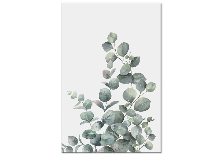 Quadro em tela Folhas de eucalipto - paisagem com motivo botânico sobre fundo branco