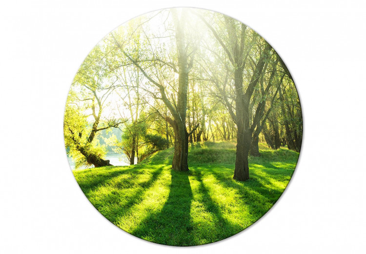 Round Canvas Sunny Forest - A Photo of Trees Illuminated by Summer Rays 148717