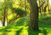 Round Canvas Sunny Forest - A Photo of Trees Illuminated by Summer Rays 148717 additionalThumb 3