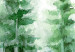 Canvas Spruce Forest - Trees Painted With Watercolor in White and Green Colors 149817 additionalThumb 5