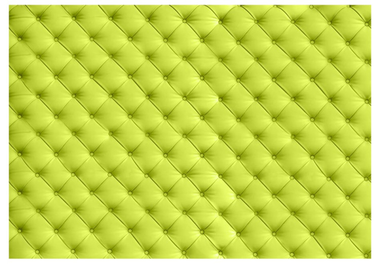 Wall Mural Lime Relaxation - Trendy Quilting Design with Leather Texture 61017 additionalImage 1