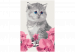 Paint by Number Kit Kitty Cat 107327 additionalThumb 7
