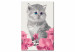 Paint by Number Kit Kitty Cat 107327 additionalThumb 6