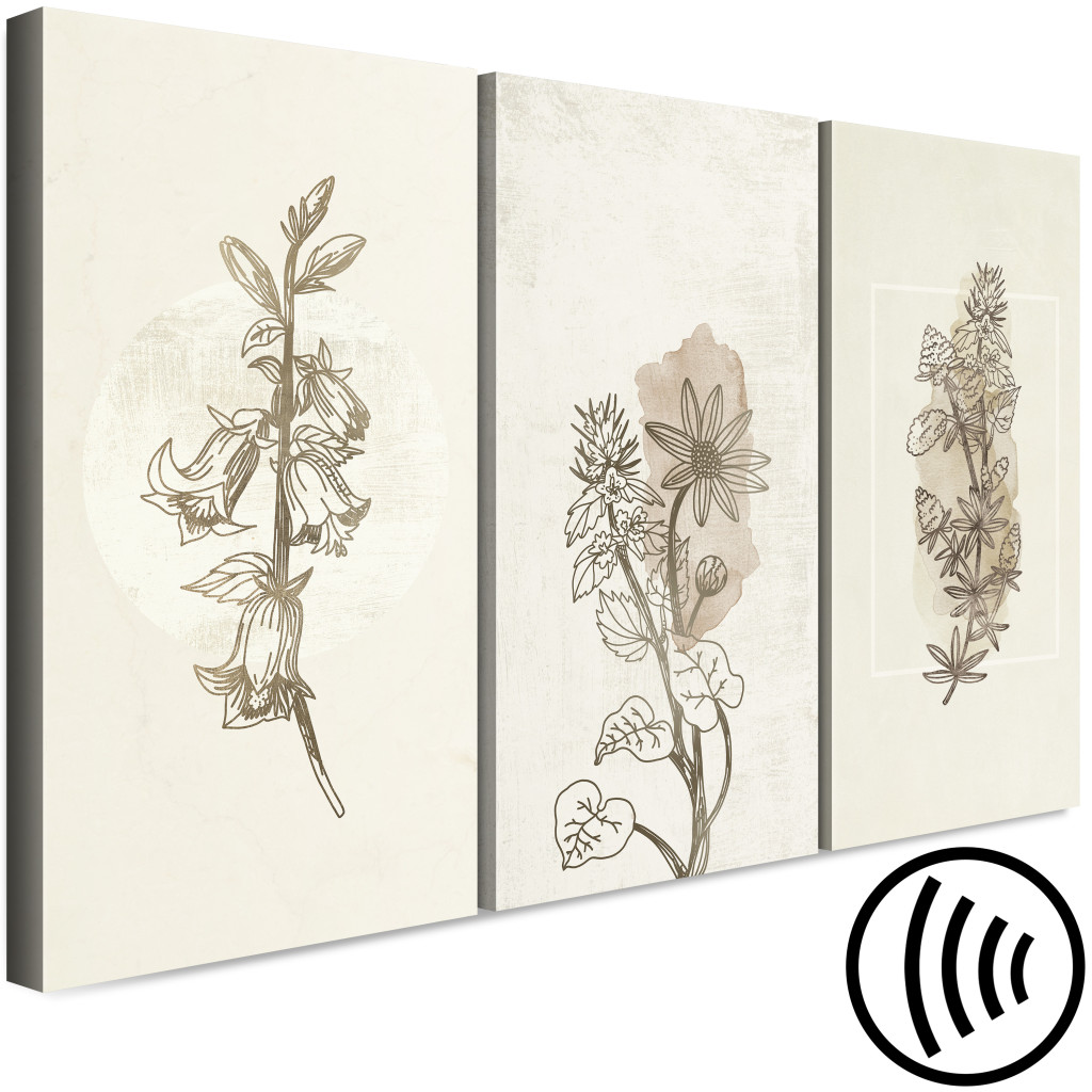 Schilderij  Andere Bloemen: Herbarium (3 Parts)