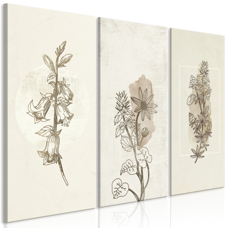 Canvas Print Herbarium (3 Parts) 125727 additionalImage 2