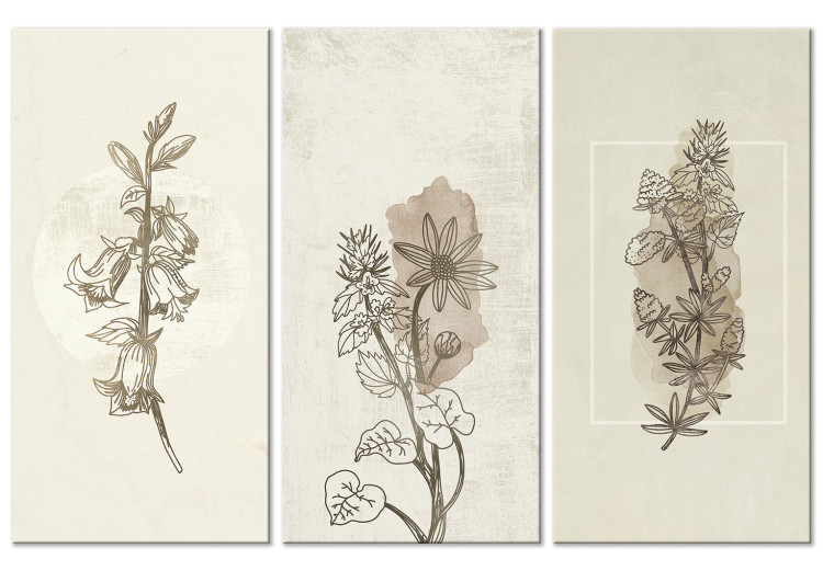 Canvas Print Herbarium (3 Parts) 125727