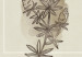 Canvas Print Herbarium (3 Parts) 125727 additionalThumb 4