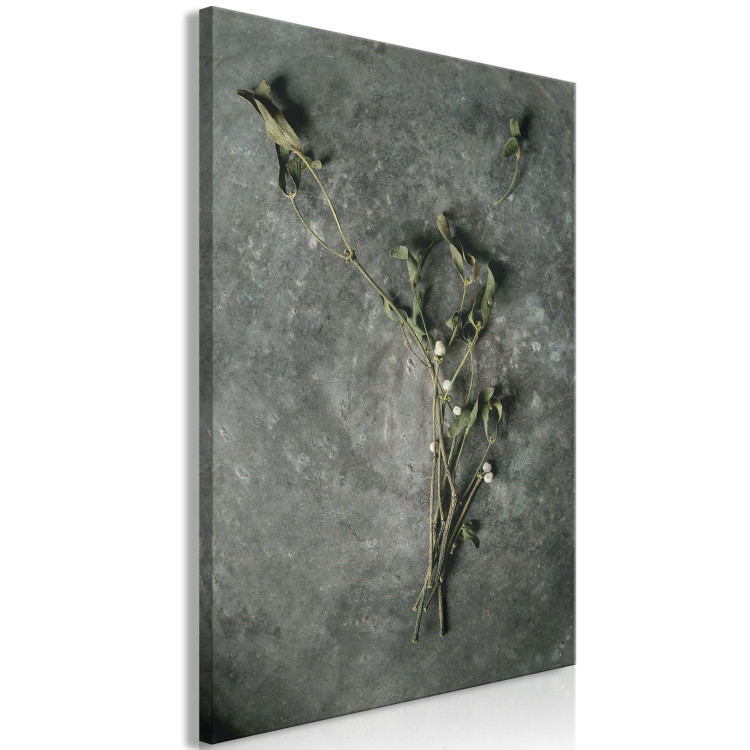 Cuadro decorativo Muérdago seco - fotografía botánica de invierno sobre piedra gris 130727 additionalImage 2