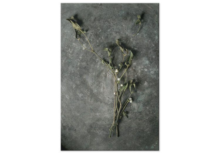 Cuadro decorativo Muérdago seco - fotografía botánica de invierno sobre piedra gris 130727