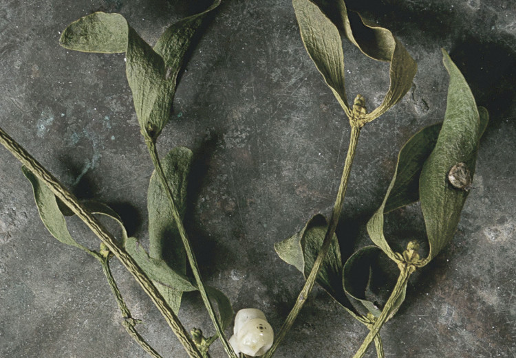 Cuadro decorativo Muérdago seco - fotografía botánica de invierno sobre piedra gris 130727 additionalImage 5