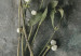 Cuadro decorativo Muérdago seco - fotografía botánica de invierno sobre piedra gris 130727 additionalThumb 4