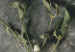 Cuadro decorativo Muérdago seco - fotografía botánica de invierno sobre piedra gris 130727 additionalThumb 5
