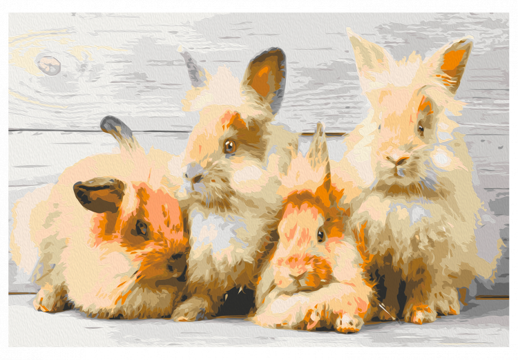 Paint by number Four Bunnies 134527 additionalImage 7