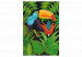 Måla med siffror Beautiful Toucan 135327 additionalThumb 4