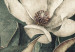 Fototapeta Dzika natura - białe kwiaty na zielonym tle w stonowanych kolorach 143727 additionalThumb 3