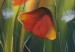 Cuadro moderno Prado misterioso de amapolas (1 pieza) - hierba verde y flores rojas 47227 additionalThumb 3