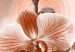 Obraz Miłosne orchidee 56227 additionalThumb 5
