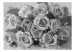 Wall Mural A dozen roses 60327 additionalThumb 1