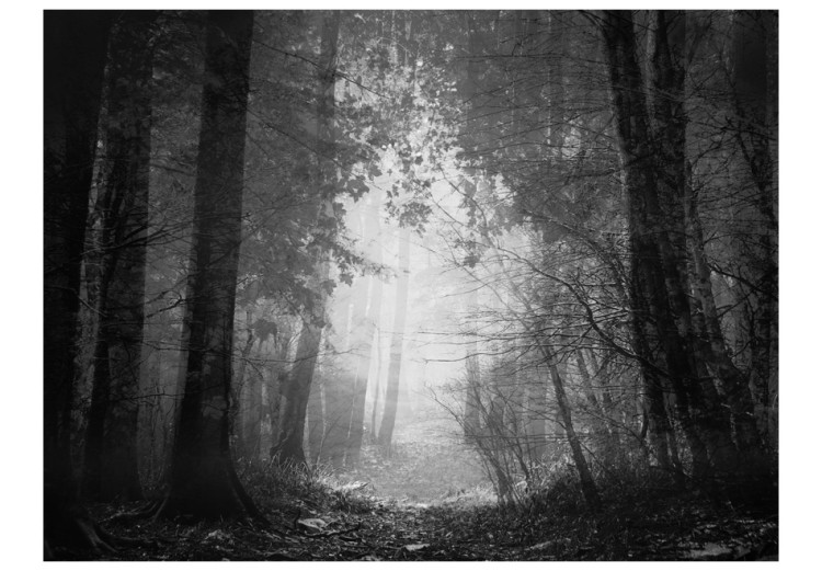 Mural Floresta de Sombras - paisagem preto e branco com estrada coberta de folhas cercada por floresta 60527 additionalImage 1