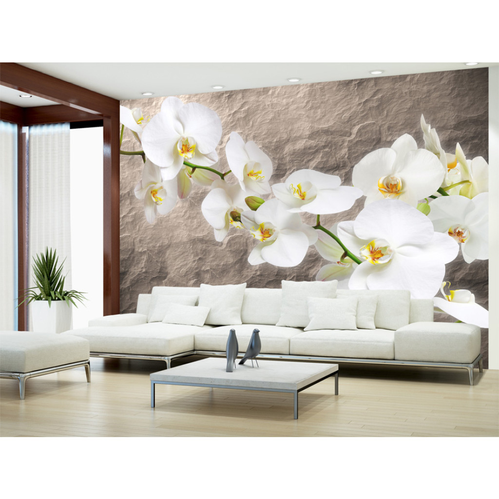 Fotomural Papéis De Parede Flores De Orquídeas - Flores Brancas Em Um Fundo Cinza Com Textura Irregular