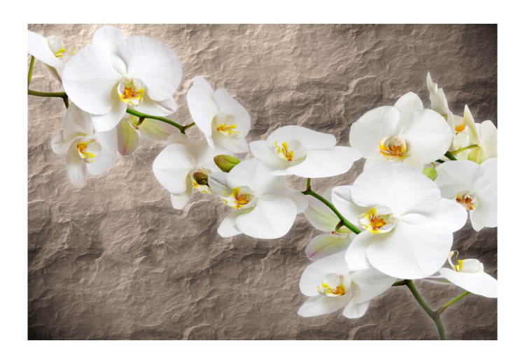 Fotomural Flores de Orquídeas - flores brancas em um fundo cinza com textura irregular 60627 additionalImage 1