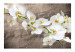 Fotomural Flores de Orquídeas - flores brancas em um fundo cinza com textura irregular 60627 additionalThumb 1