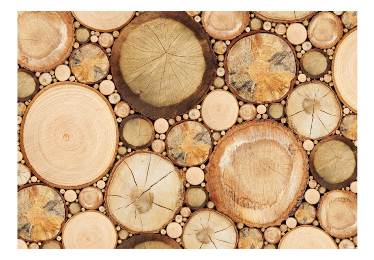Wall Mural Wood grains 61027 additionalImage 1