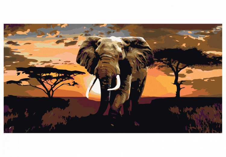 Obraz do malowania po numerach Słoń w Afryce (brązy) 107337 additionalImage 7