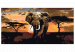  Dibujo para pintar con números Elefante africano (de tonos marrones) 107337 additionalThumb 7