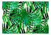 Mural de parede Tropical Leaves 108137 additionalThumb 1