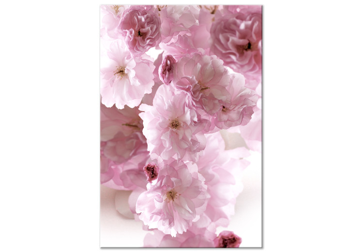 Quadro su tela Glamour Floreale - petali di fiori nelle tonalità del rosa