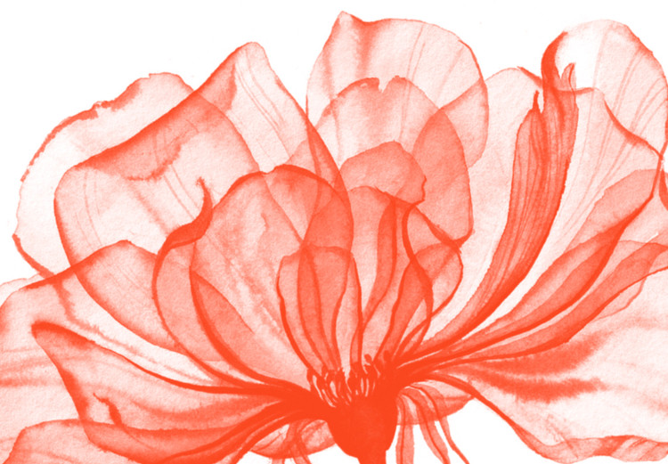 Obraz Cztery kwiaty z liśćmi - czteroczęściowa kompozycja na białym tle 126537 additionalImage 4
