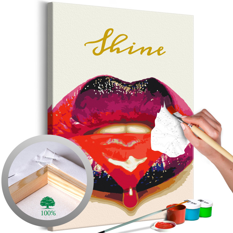 Paint by Number Kit Shiny Lips 132037