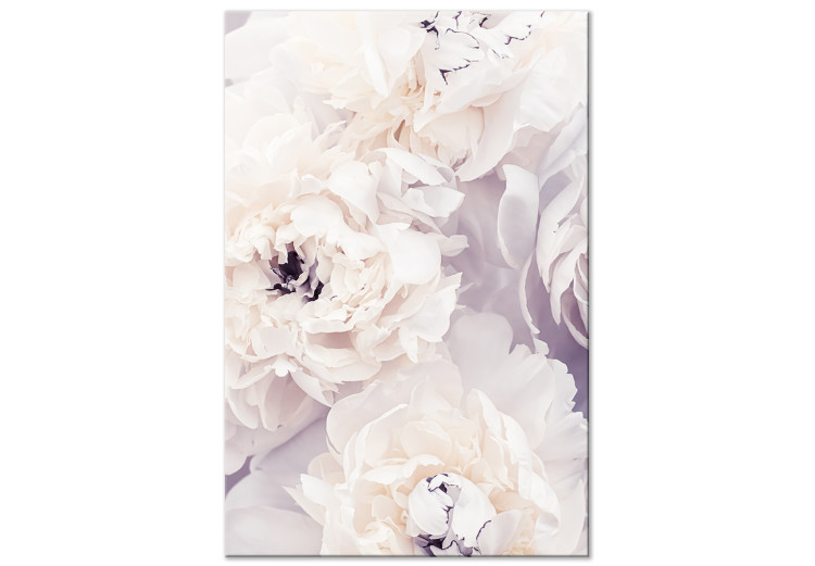 Canvas Creamy Magnolia - Pastel Composition with Flowers in Boho Style