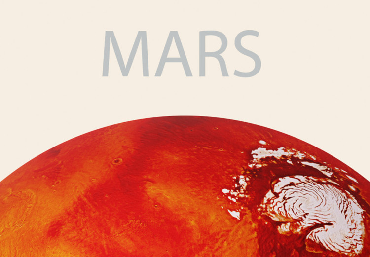 composition of mars planet