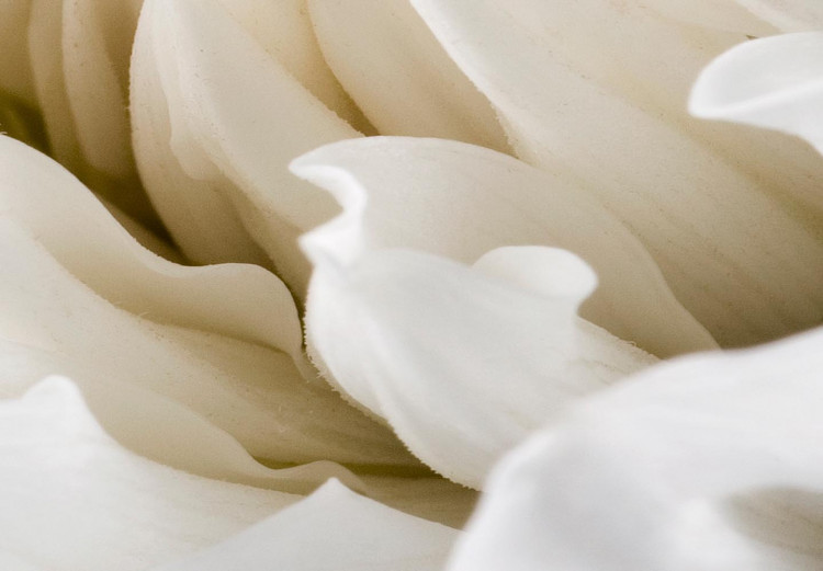 Rund tavla White Flower - Unfolded Bud in Warm Cream Light 148737 additionalImage 2