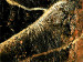 Wandbild Des Mondes Liebhaber 49137 additionalThumb 3