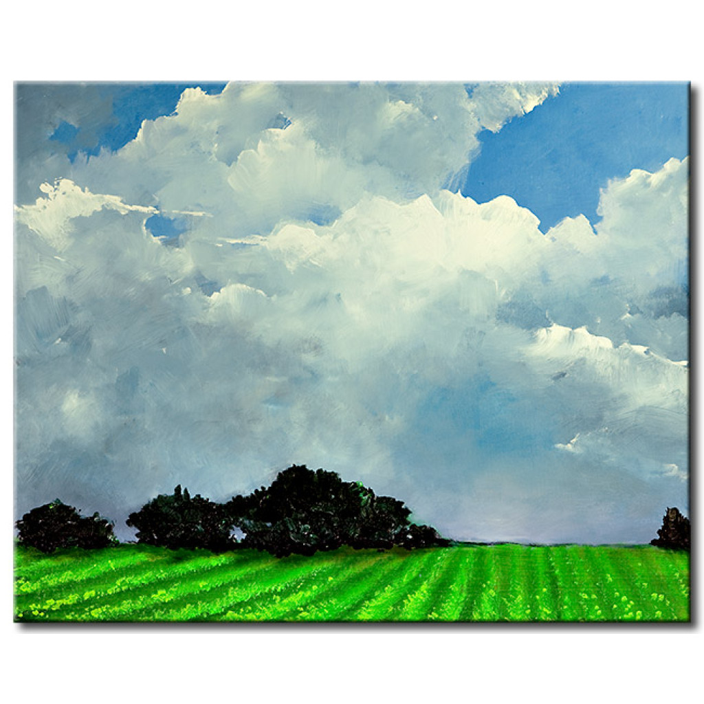 Konst Landsbygdsidyll - Grönt Fältlandskap Mot Den Blå Himlen