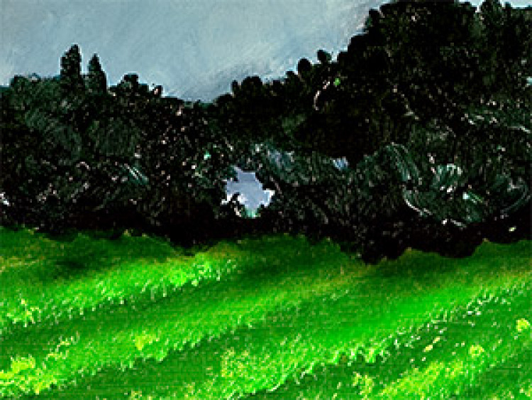 Tableau mural Idylle rurale - un paysage de champ vert sur fond de ciel bleu 49737 additionalImage 3
